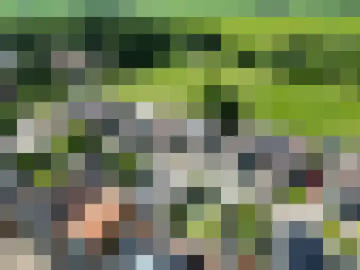 Westelijk Achterom 9 Tzum thumbnail 10