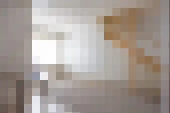 Westelijk Achterom 9 Tzum thumbnail 17