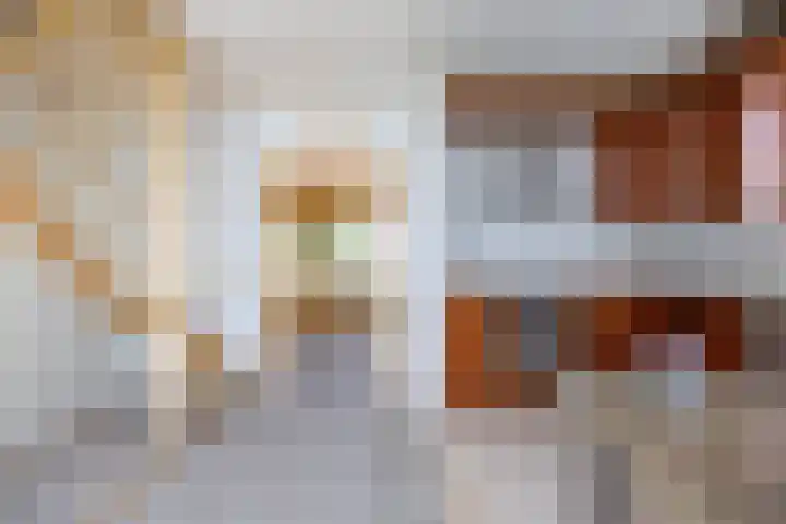 Westelijk Achterom 9 Tzum thumbnail 19