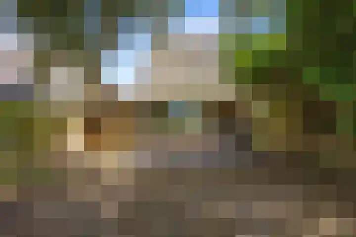 Westelijk Achterom 9 Tzum thumbnail 27