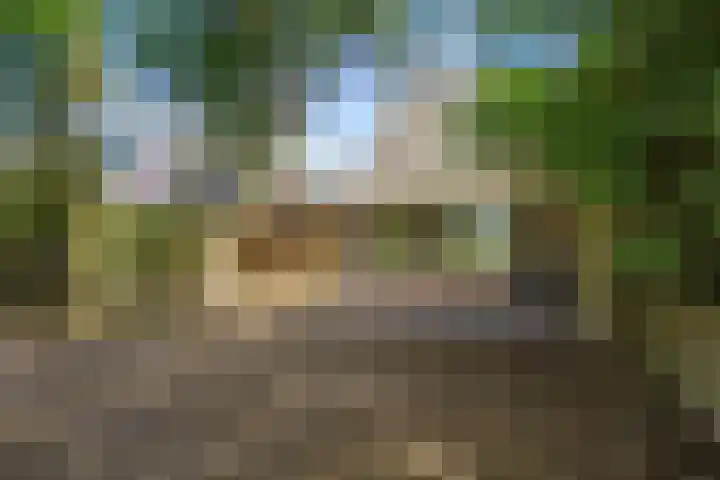 Westelijk Achterom 9 Tzum thumbnail 28