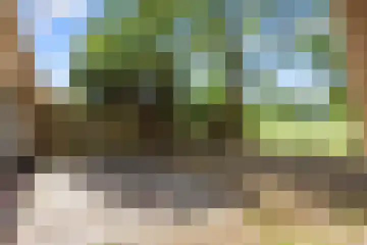 Westelijk Achterom 9 Tzum thumbnail 29