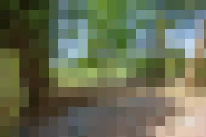 Westelijk Achterom 9 Tzum thumbnail 30