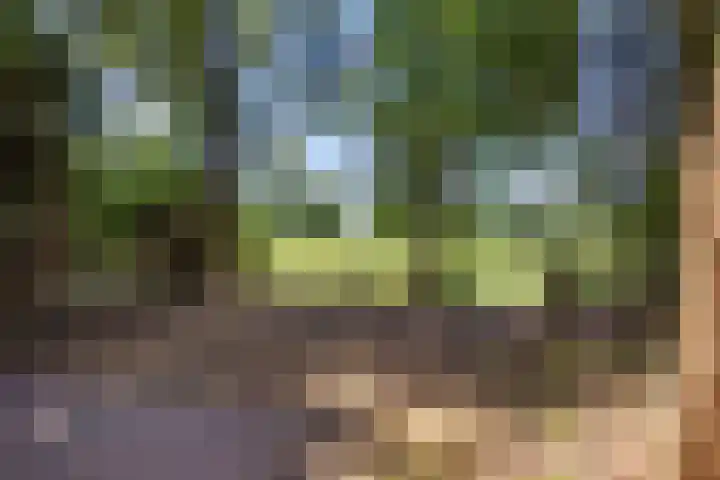 Westelijk Achterom 9 Tzum thumbnail 31