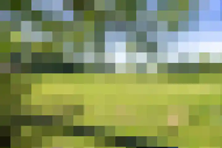Westelijk Achterom 9 Tzum thumbnail 32