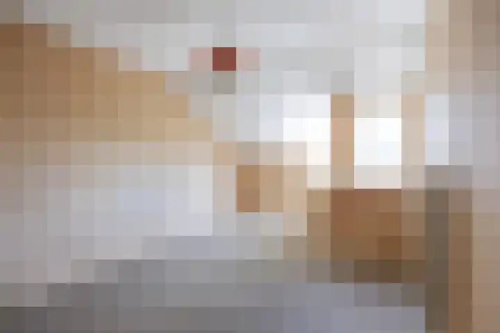 Westelijk Achterom 9 Tzum thumbnail 37