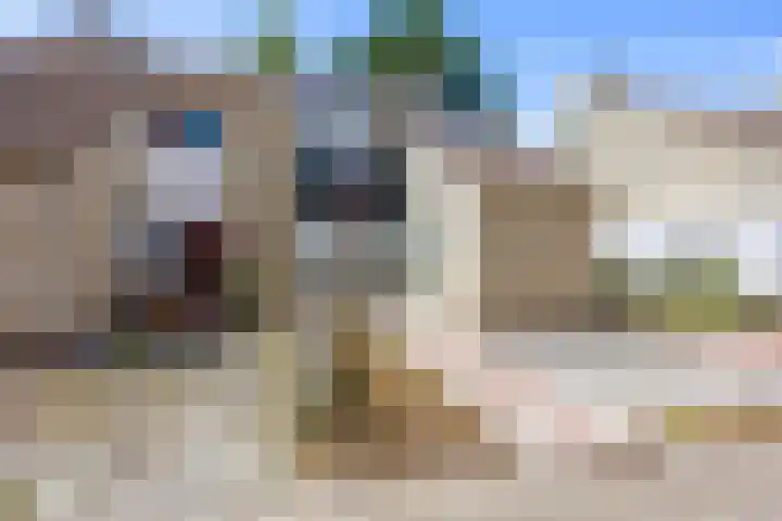 Westelijk Achterom 9 Tzum thumbnail 45