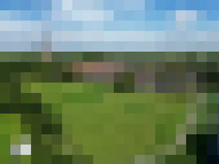 Westelijk Achterom 9 Tzum thumbnail 47