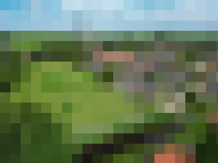 Westelijk Achterom 9 Tzum thumbnail 7