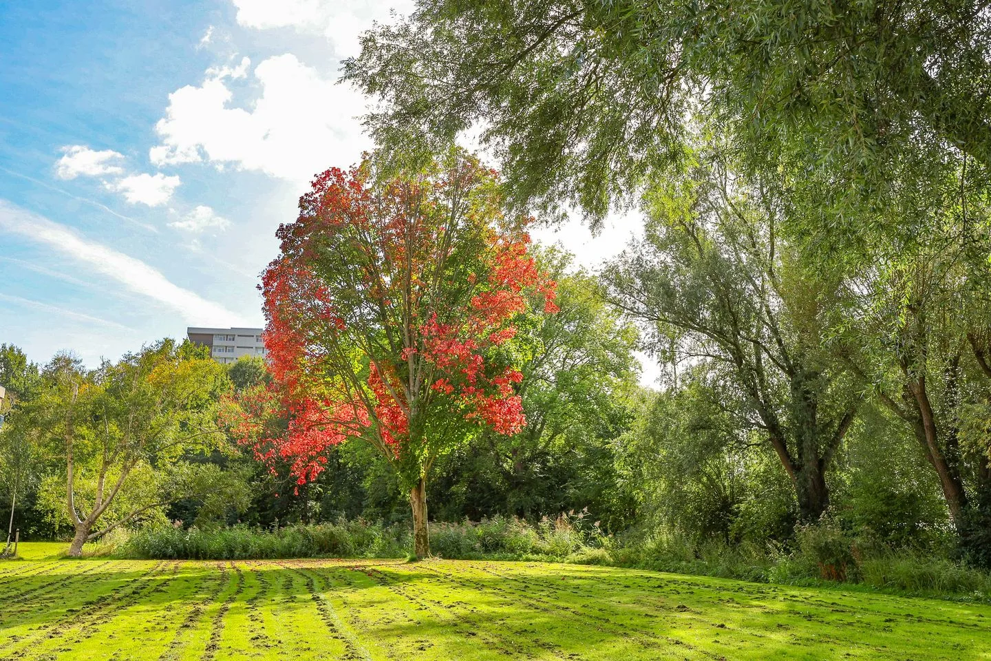 Westelijk Halfrond 133 A Amstelveen thumbnail 41