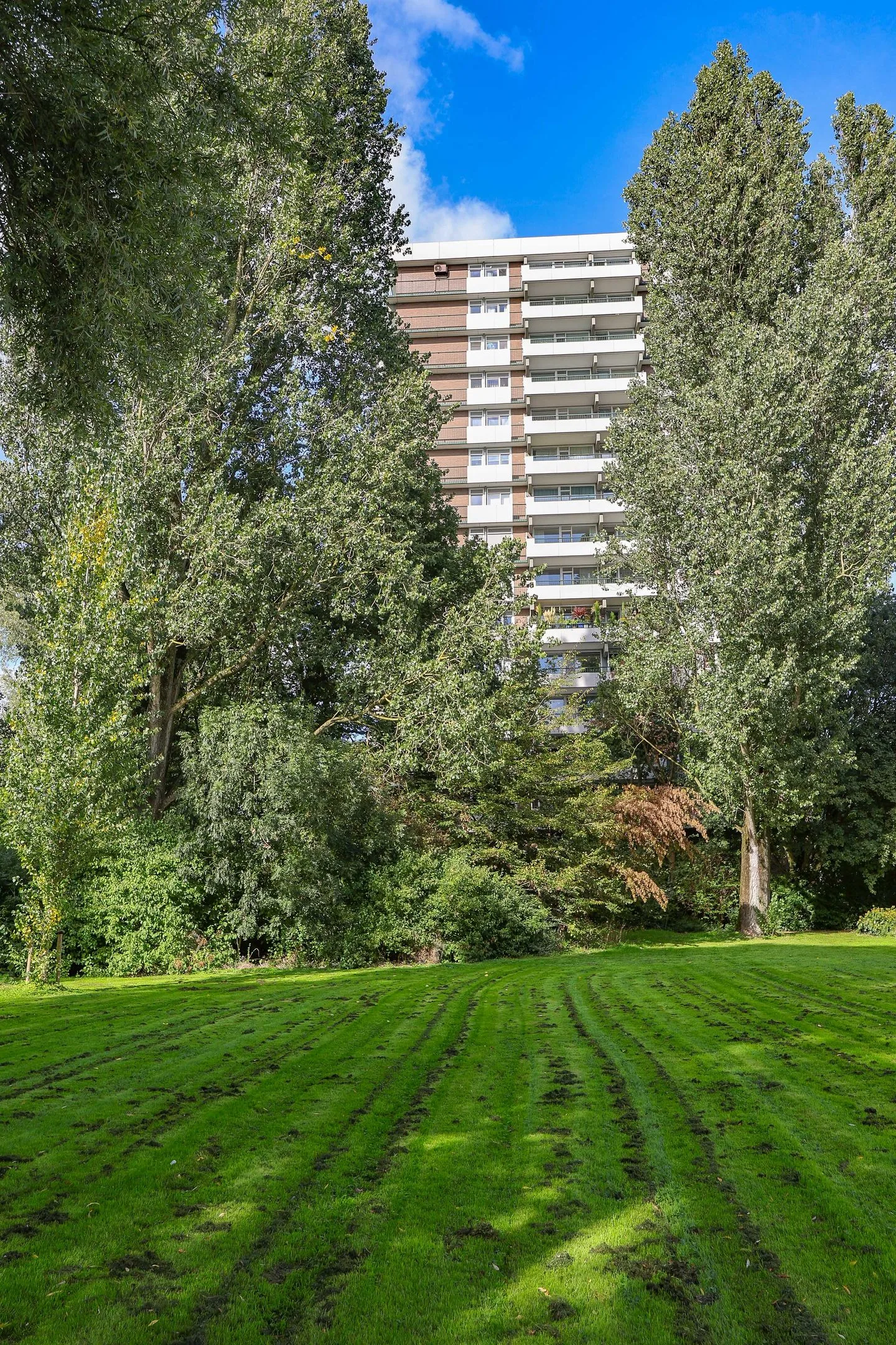 Westelijk Halfrond 133 A Amstelveen thumbnail 5