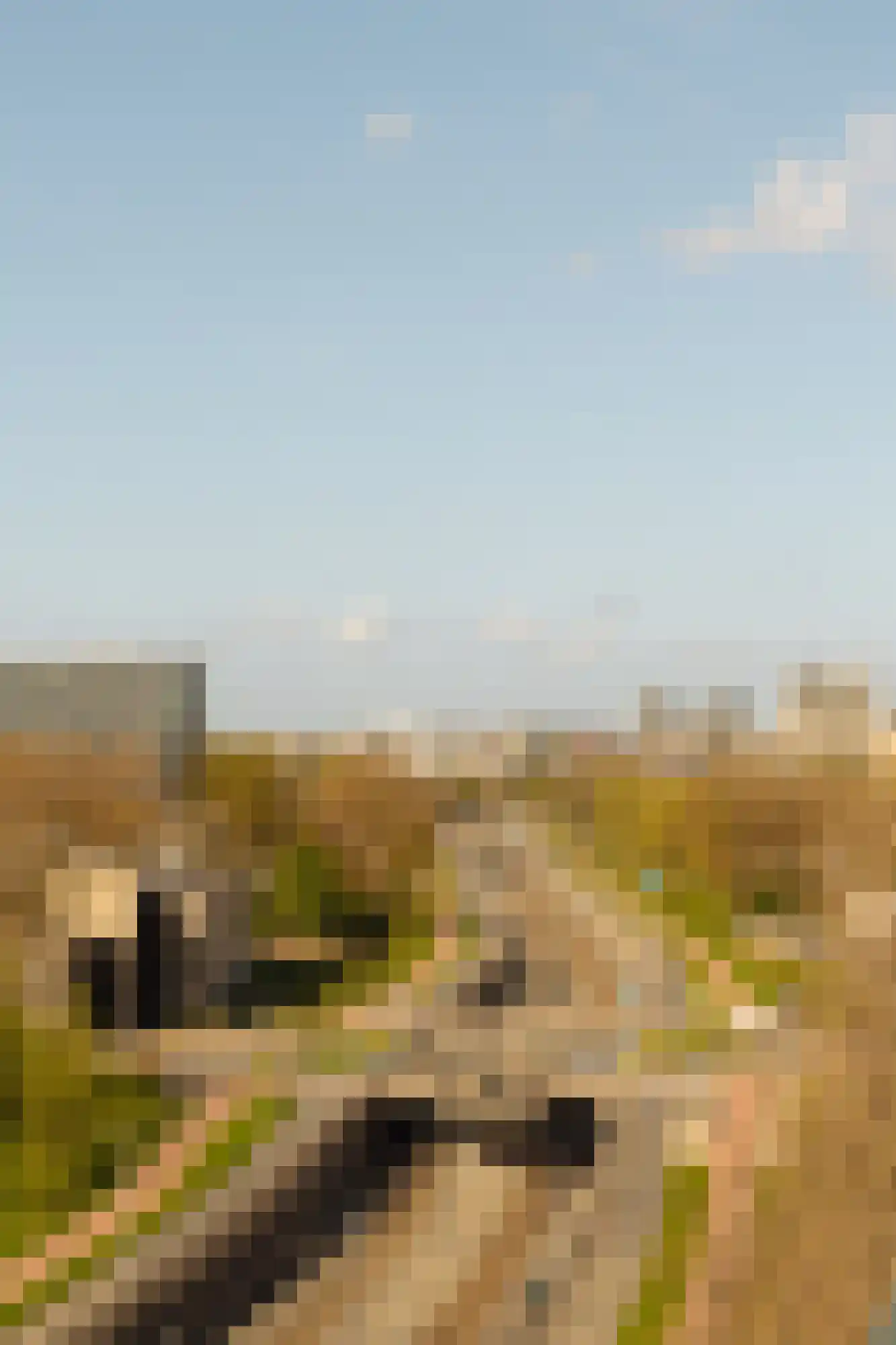 Westelijk Halfrond 179 Amstelveen thumbnail 12