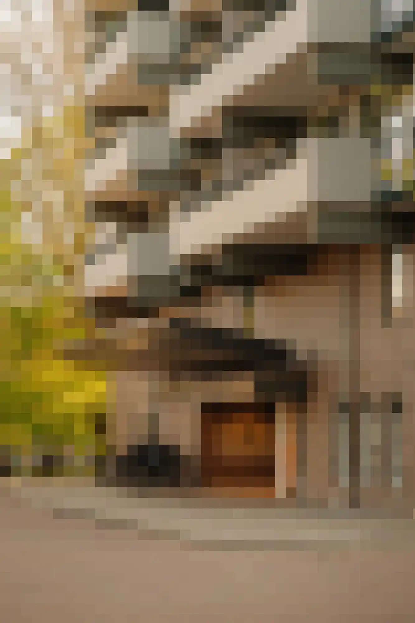 Westelijk Halfrond 179 Amstelveen thumbnail 35