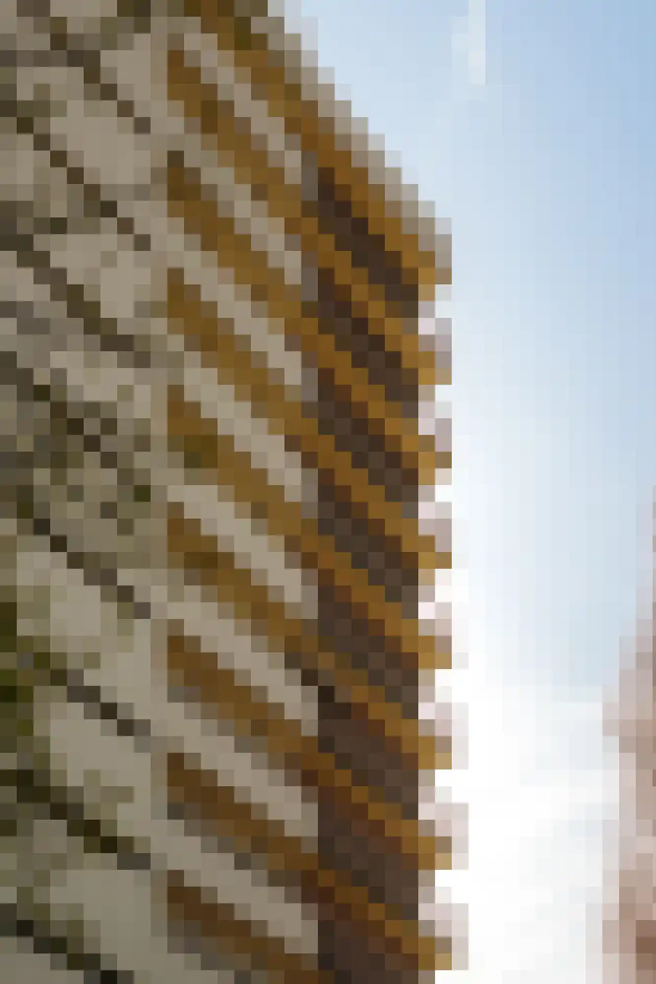 Westelijk Halfrond 179 Amstelveen thumbnail 36