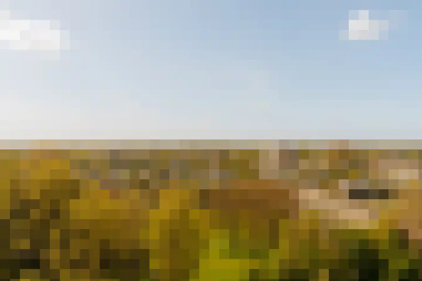 Westelijk Halfrond 179 Amstelveen thumbnail 7