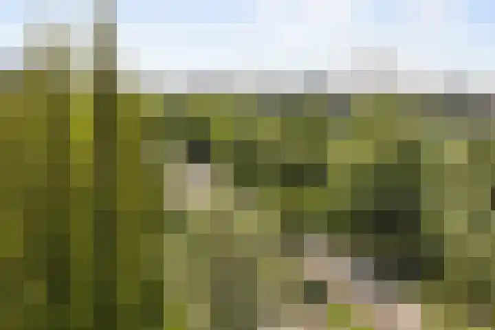 Westelijk Halfrond 189 Amstelveen thumbnail 25