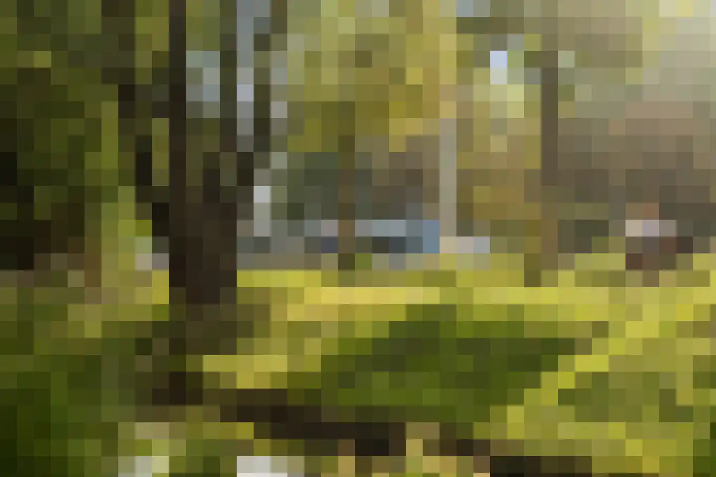 Westelijk Halfrond 205 A Amstelveen thumbnail 24