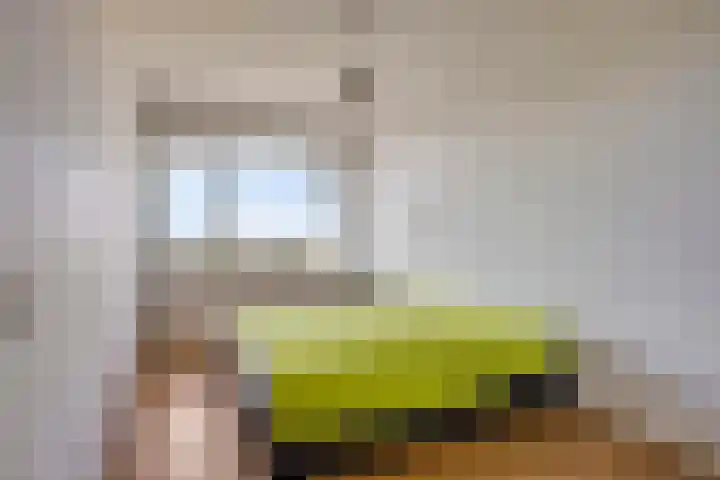 Westelijk Halfrond 205 Amstelveen thumbnail 21