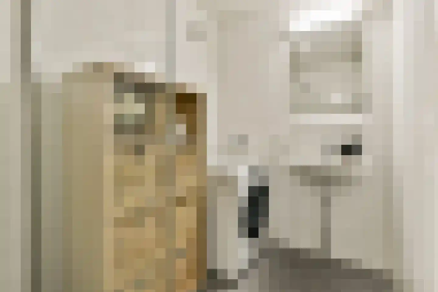 Westelijk Halfrond 207 Amstelveen thumbnail 17