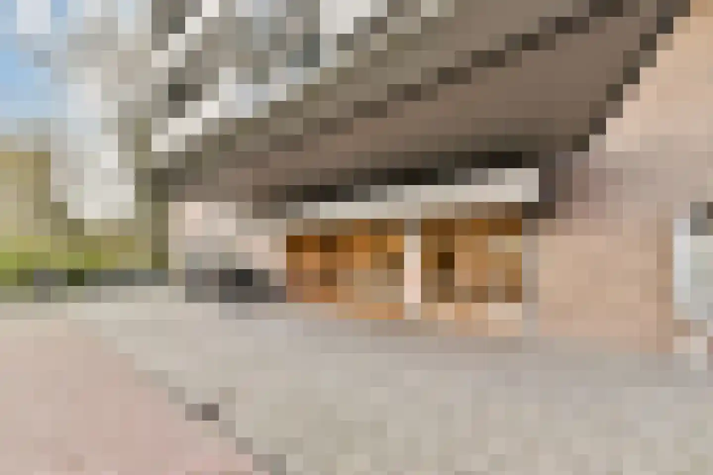Westelijk Halfrond 207 Amstelveen thumbnail 5