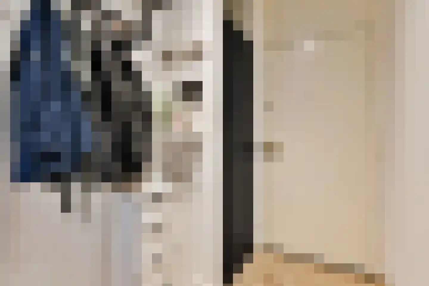 Westelijk Halfrond 207 Amstelveen thumbnail 7