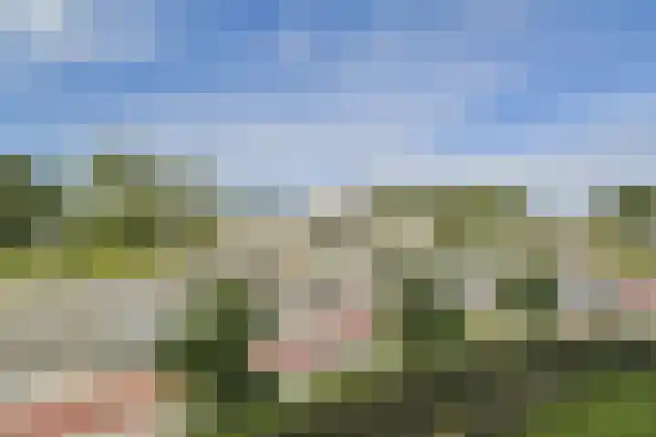 Westelijk Halfrond 379 Amstelveen thumbnail 11