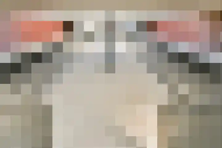Westelijk Halfrond 379 Amstelveen thumbnail 34