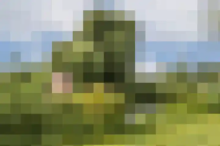 Westelijk Halfrond 379 Amstelveen thumbnail 35
