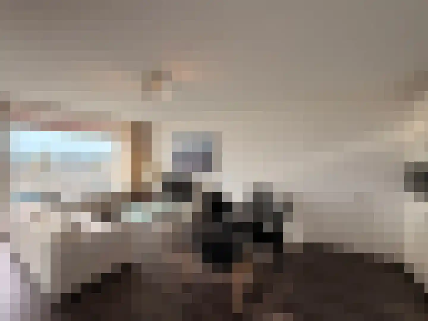 Westelijk Halfrond 399 Amstelveen thumbnail 15