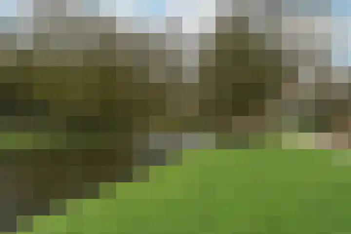 Westelijk Halfrond 399 Amstelveen thumbnail 23