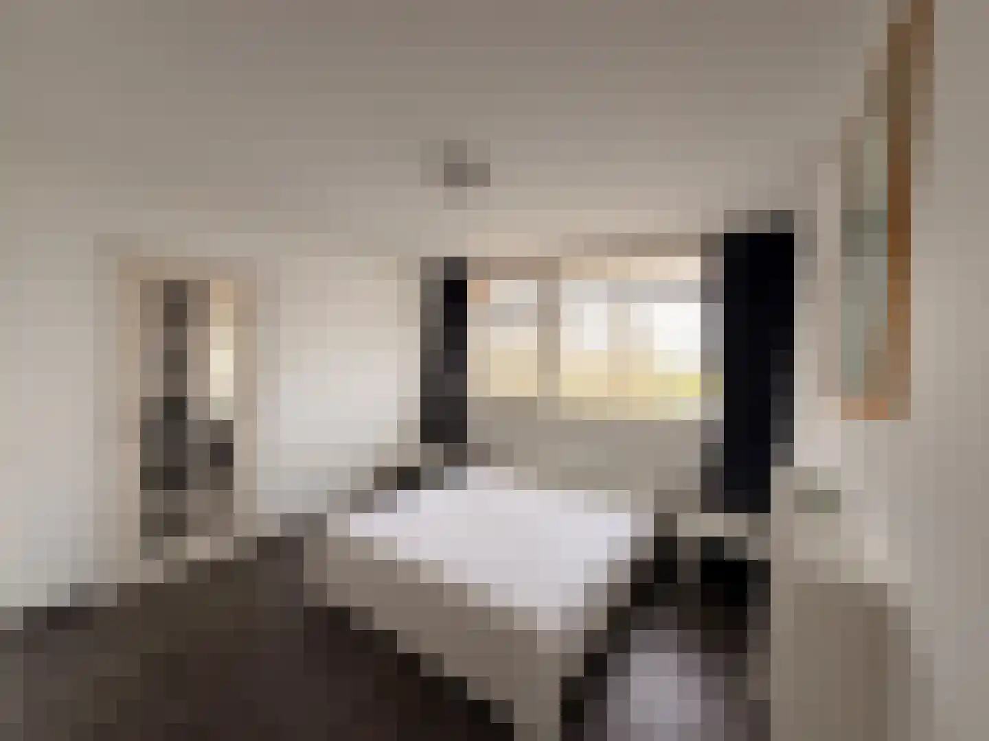 Westelijk Halfrond 399 Amstelveen thumbnail 4
