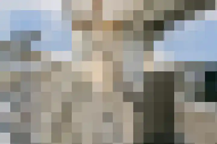 Westelijk Halfrond 403 Amstelveen thumbnail 17