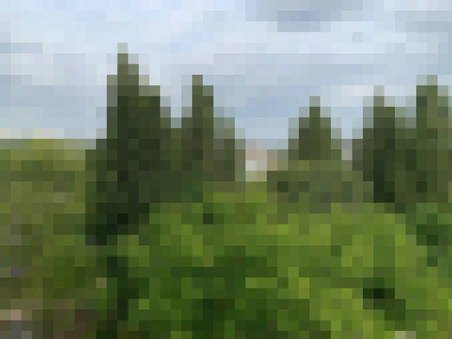 Westelijk Halfrond 407 Amstelveen thumbnail 27