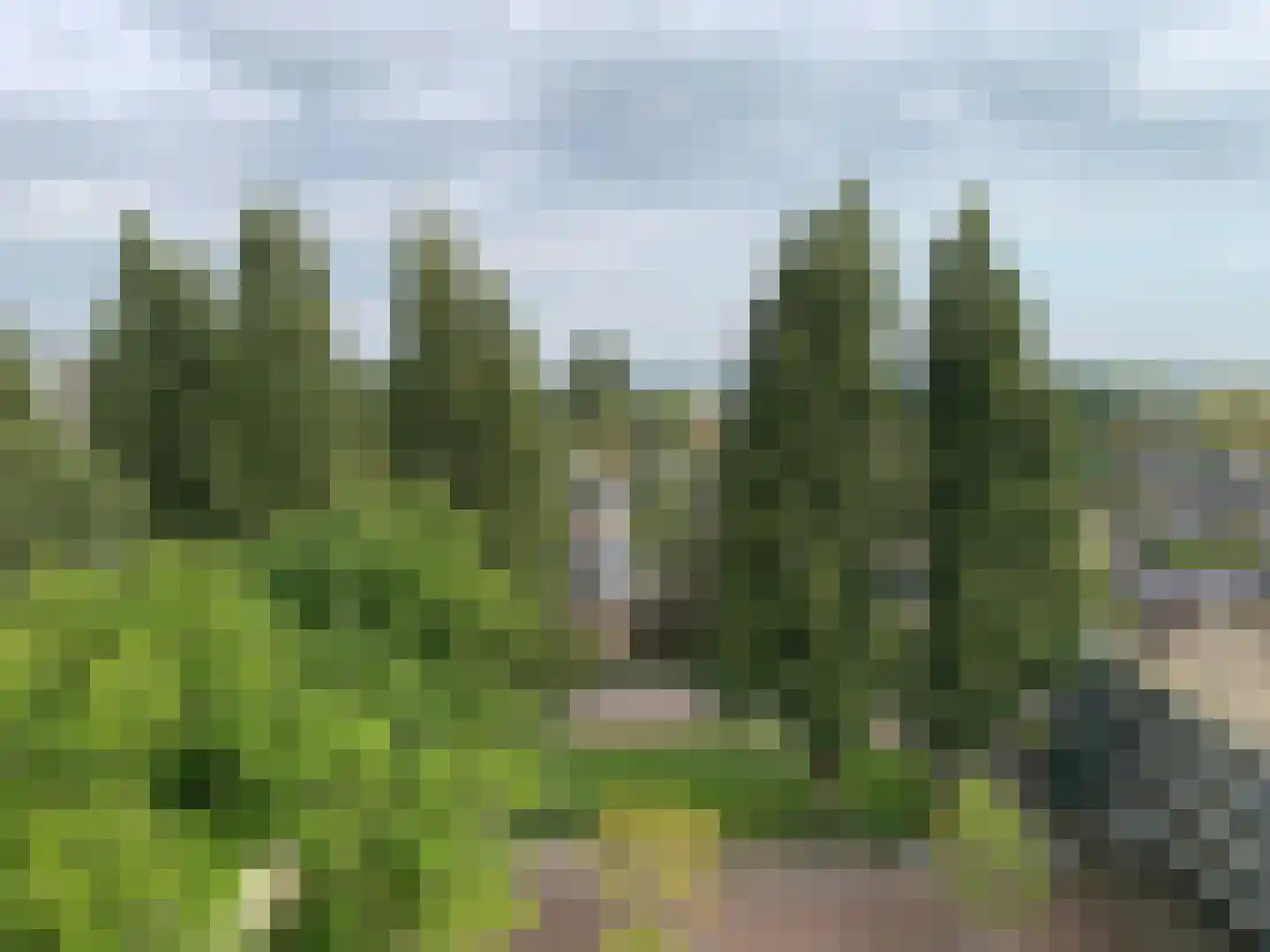 Westelijk Halfrond 407 Amstelveen thumbnail 28