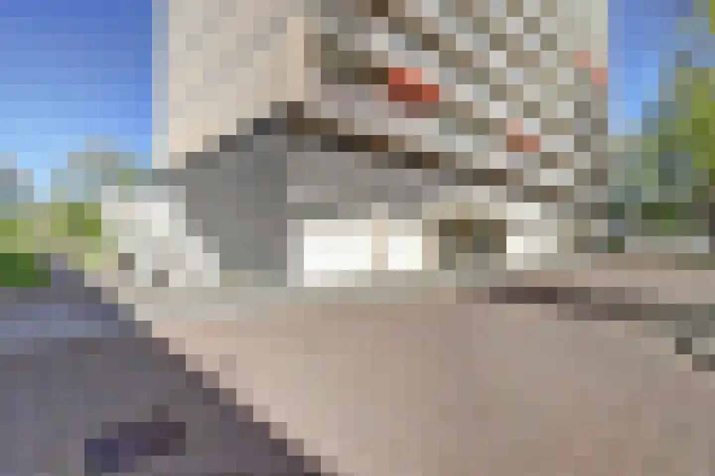 Westelijk Halfrond 407 Amstelveen thumbnail 7