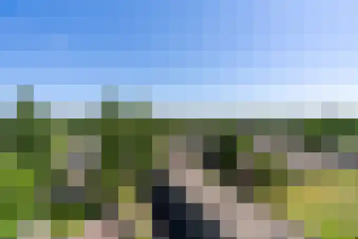Westelijk Halfrond 409 Amstelveen thumbnail 38