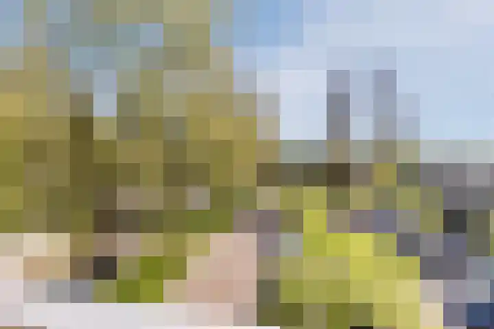 Westelijk Halfrond 439 Amstelveen thumbnail 24