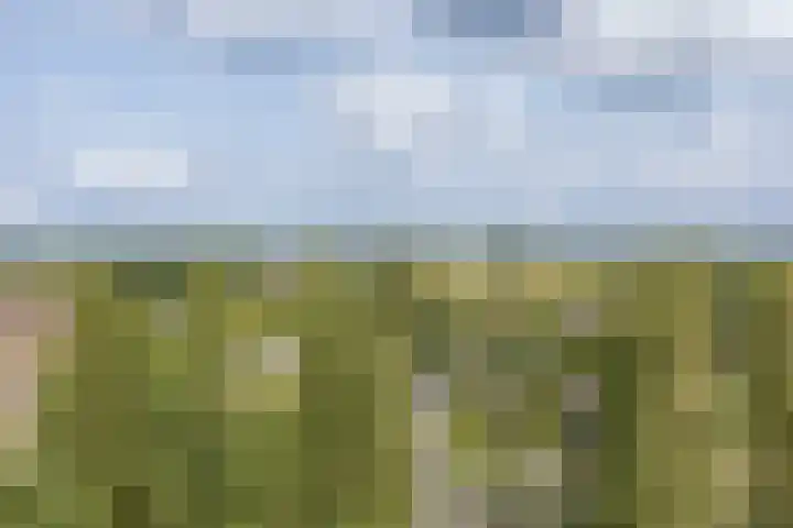 Westelijk Halfrond 479 Amstelveen thumbnail 23