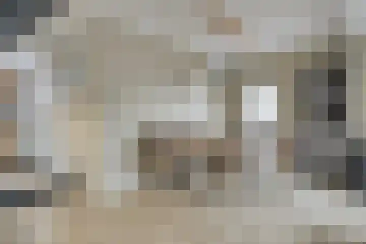 Westelijke Achterweg 10 Sommelsdijk thumbnail 10