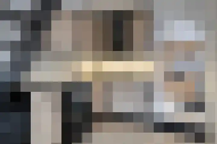 Westelijke Achterweg 10 Sommelsdijk thumbnail 13