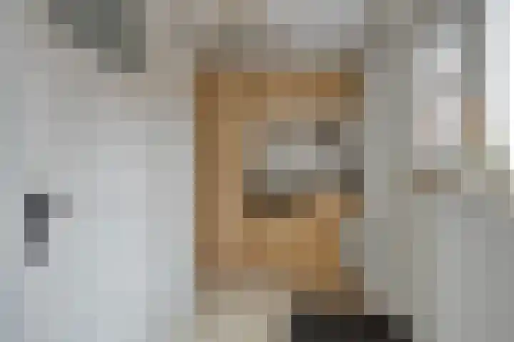 Westelijke Achterweg 10 Sommelsdijk thumbnail 14