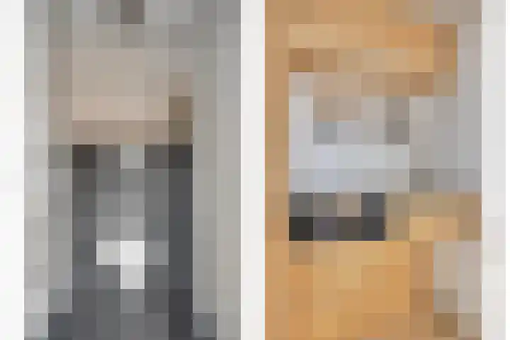 Westelijke Achterweg 10 Sommelsdijk thumbnail 15