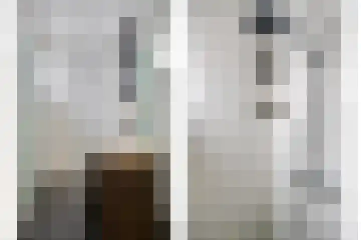 Westelijke Achterweg 10 Sommelsdijk thumbnail 17