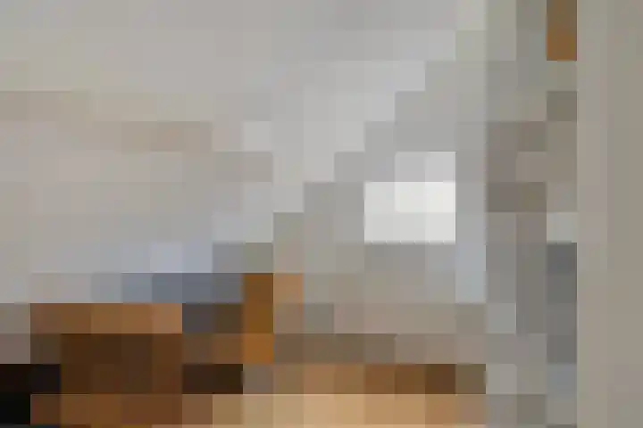 Westelijke Achterweg 10 Sommelsdijk thumbnail 19