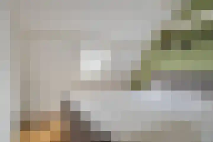 Westelijke Achterweg 10 Sommelsdijk thumbnail 20