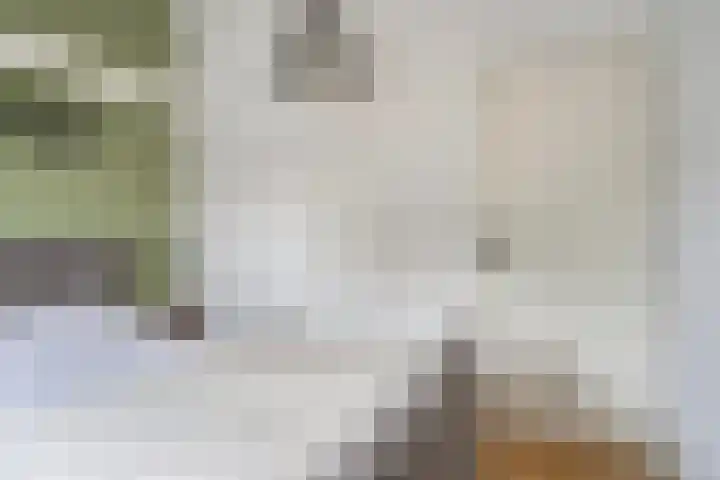 Westelijke Achterweg 10 Sommelsdijk thumbnail 21