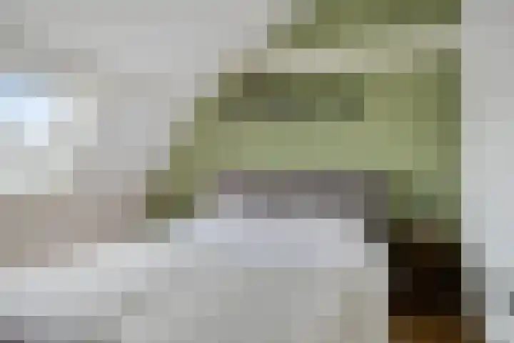 Westelijke Achterweg 10 Sommelsdijk thumbnail 22