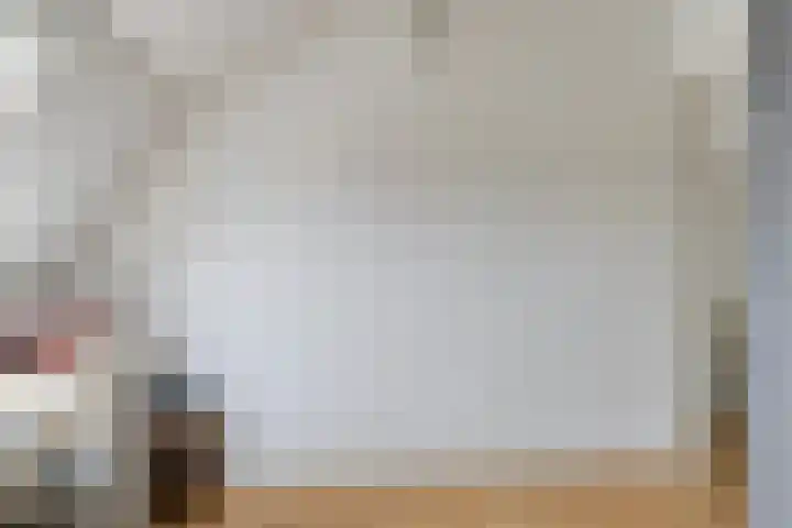 Westelijke Achterweg 10 Sommelsdijk thumbnail 24