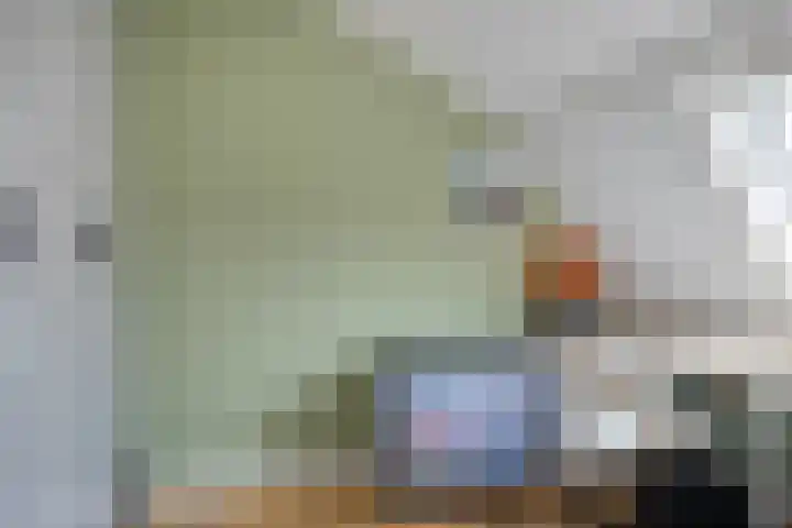 Westelijke Achterweg 10 Sommelsdijk thumbnail 25