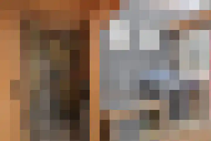 Westelijke Achterweg 10 Sommelsdijk thumbnail 28